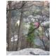 P4240254.html